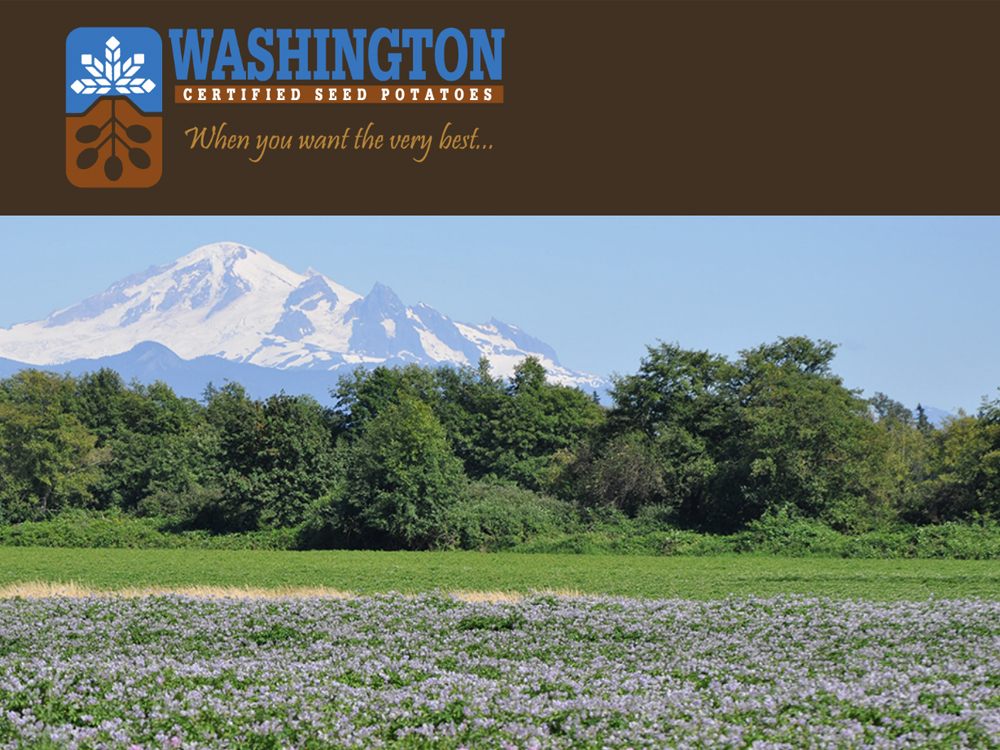 Washington Seed Potato Commission web design